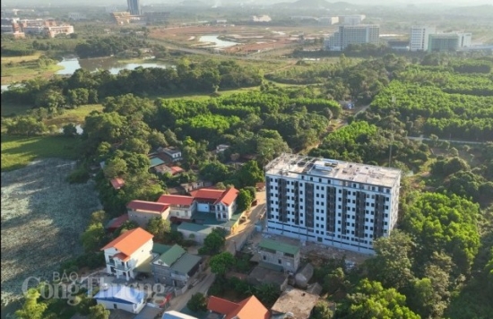 Hiện trường tháo dỡ chung cư mini gần 200 căn sai phép tại Thạch Thất, Hà Nội