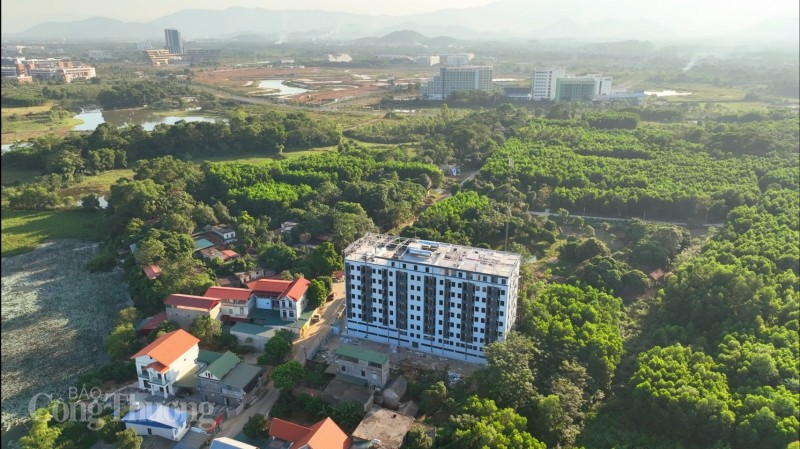 Chung cư mini được xây dựng từ 3 tầng lên 9 tầng với gần 200 phòng chỉ cách các trường đại học lớn đang xây dựng hơn 1km
