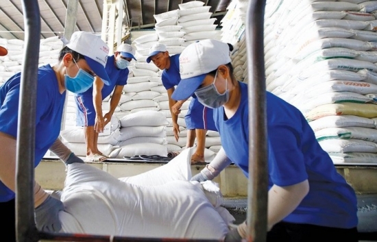 Giá gạo Việt cao kỷ lục, kim ngạch xuất khẩu lập đỉnh mới