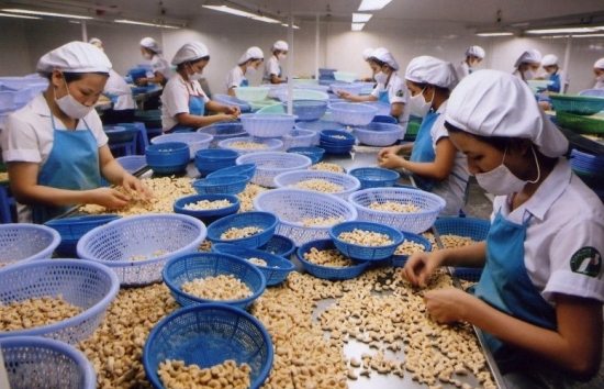 Trung Quốc ồ ạt gom mua hạt điều của Việt Nam