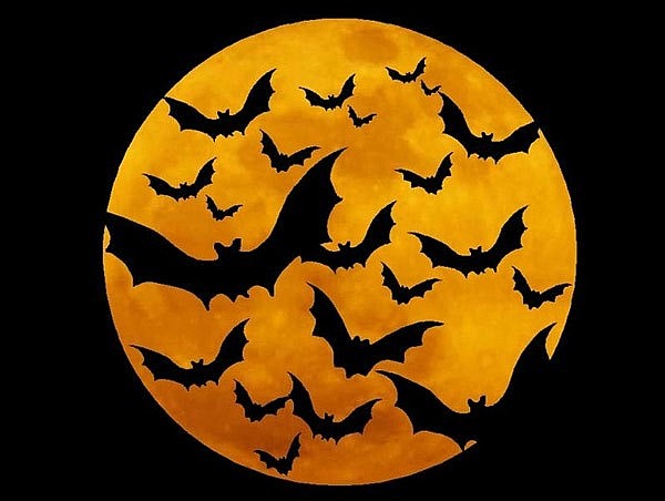 Hình ảnh những con dơi trong Halloween cũng có nguồn gốc từ lễ hội Samhain