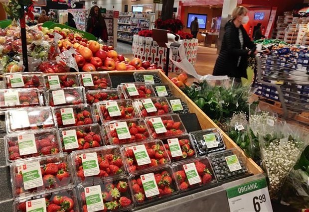 Xuất khẩu rau quả vào thị trường Canada, doanh nghiệp lưu ý gì?