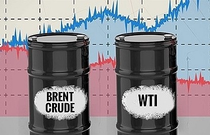 Giá xăng dầu hôm nay ngày 31/10/2023: Giá dầu Brent giảm sốc