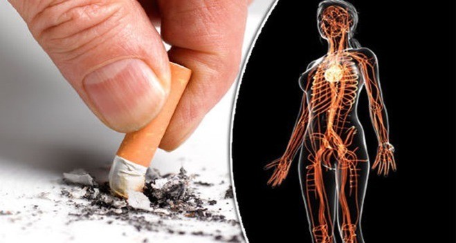 Cơ thể sẽ thay đổi theo từng giờ nếu bỏ thuốc lá