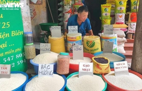 Giá gạo Việt Nam xuất khẩu lập đỉnh 15 năm