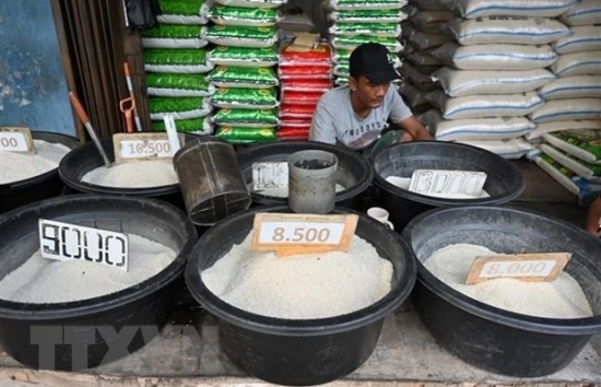 Chỉ số giá lương thực thế giới giảm xuống mức thấp nhất trong 2 năm