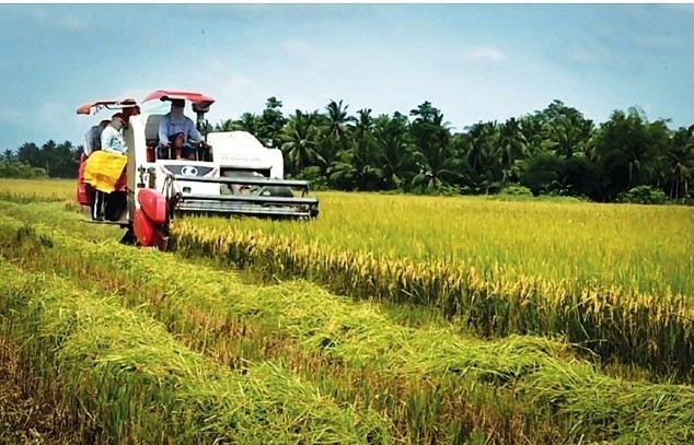Hạn hán do El Nino làm giảm nguồn cung, Việt Nam có thể tăng xuất khẩu gạo