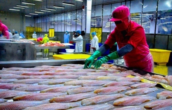 Triển vọng cho xuất khẩu cá những tháng cuối năm 2023