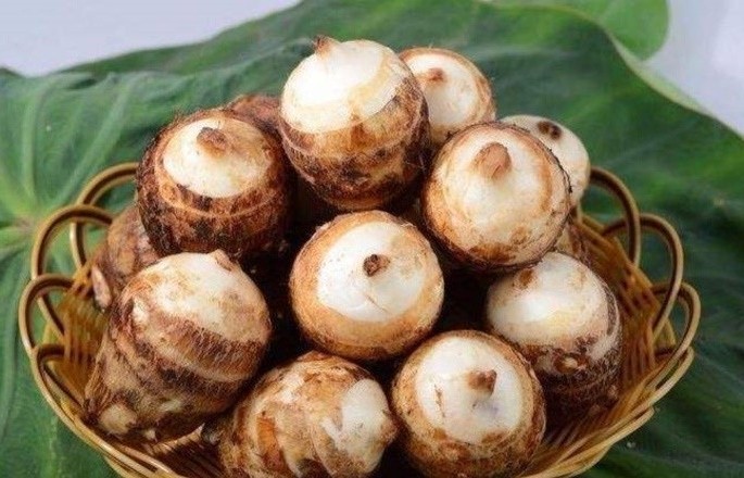 Vì sao khoai sọ được coi là
