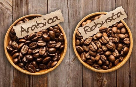 Giá cà phê Arabica quay đầu giảm khi nguồn cung có tín hiệu tích cực