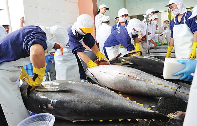 Cá ngừ đứng top 3 xuất khẩu các mặt hàng thủy sản Việt Nam