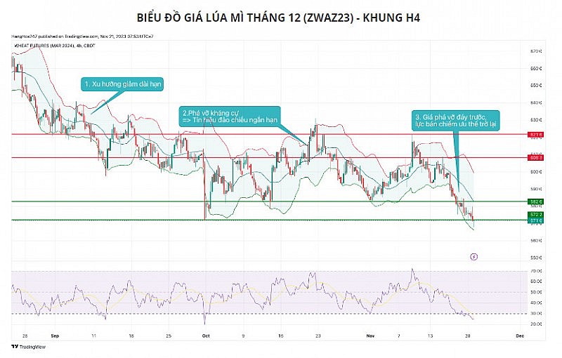 Giá ngô có thể được hỗ trợ do tâm lí lo ngại về vụ thứ 2 ở Brazil