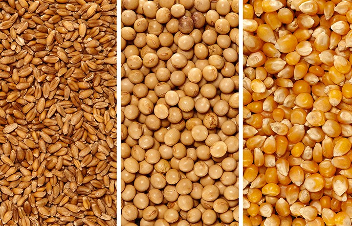 Đậu tương ghi nhận mức giảm mạnh nhất trong nhóm nông sản