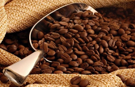 Giá cà phê mới nhất ngày 25/11/2023: Thị trường cà phê trong nước tăng mạnh 300 – 500 đồng/kg.