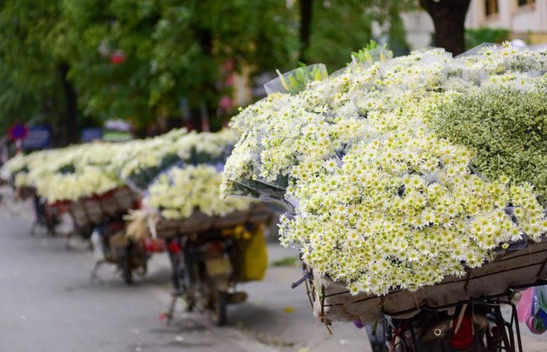 Thời tiết chiều nay 26/11/2023: Nam Bộ mưa to, Bắc Bộ thời tiết ổn định