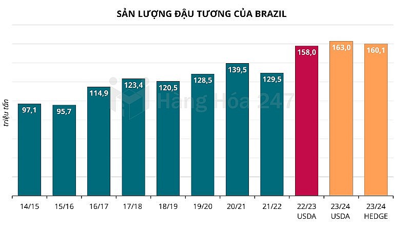 HEDGEpoint hạ dự báo sản lượng đậu tương của Brazil xuống còn 160,1 triệu tấn