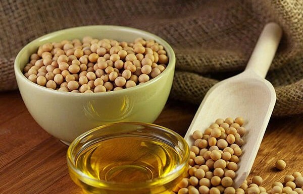 Dầu đậu tương khởi sắc, trong khi giá dầu thô tiếp tục suy yếu