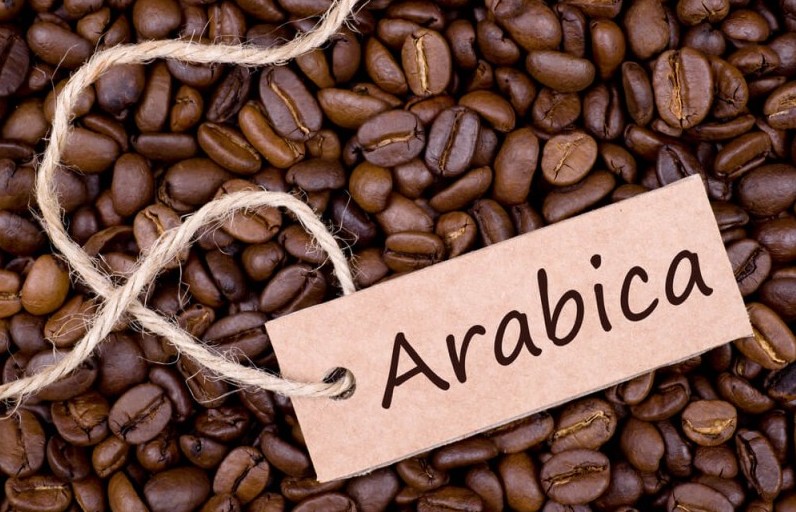 Giá cà phê Arabica có thể giảm khi nguồn cung thêm tín hiệu tích cực