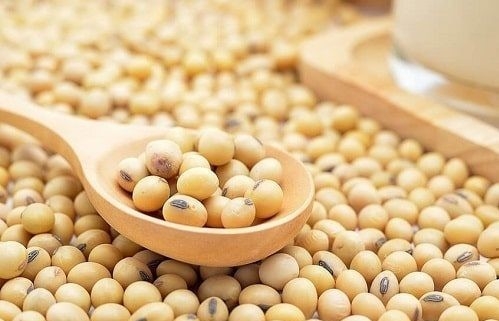 Giá đậu tương có thể giảm mạnh, do đâu?