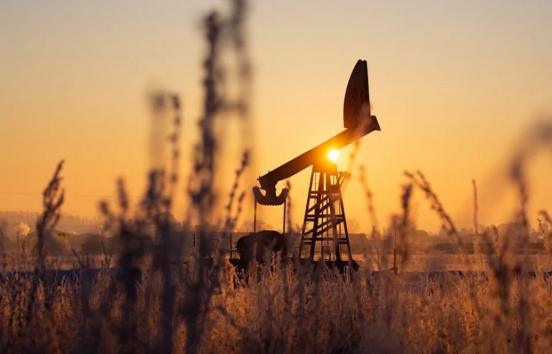 Tuyên bố mức cắt giảm sản lượng tự nguyện từng thành viên OPEC+