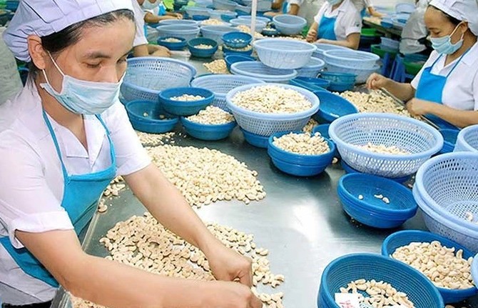 Khai thác thị trường nông sản Trung Đông và châu Phi