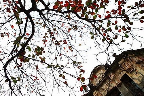 Dự báo thời tiết Hà Nội ngày mai 4/12/2023: Hà Nội tiếp tục mưa rét