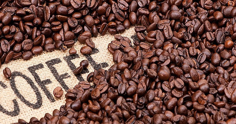 Giá cà phê trong nước ngày 3/12 giảm nhẹ. Ảnh minh họa