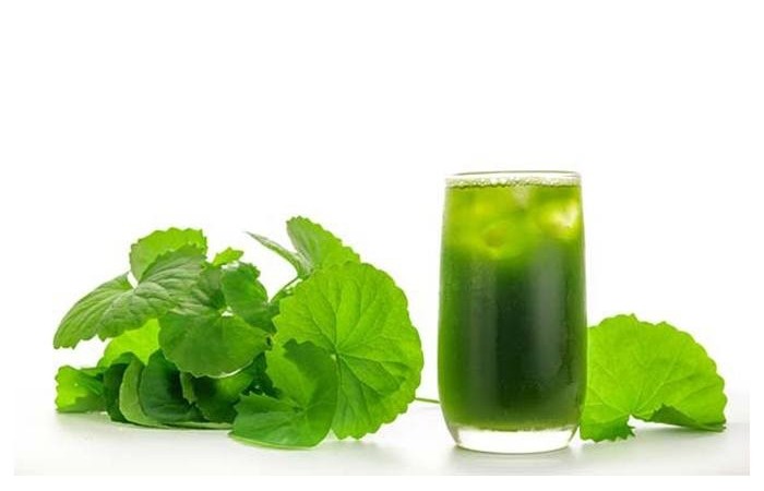 Ăn rau má thường xuyên có tốt cho sức khỏe không?