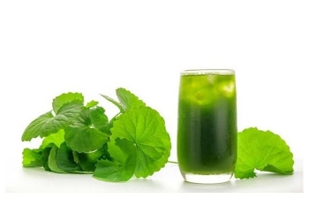 Ăn rau má thường xuyên có tốt cho sức khỏe không?
