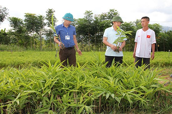 Sơn La: Khai thác tiềm năng, phát huy lợi thế vùng đồng bào dân tộc