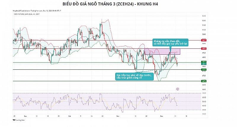 Đà tăng của giá ngô có thể sẽ bị hạn chế ở kháng cự 495