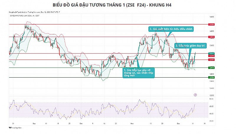 Đà tăng của giá ngô có thể sẽ bị hạn chế ở kháng cự 495