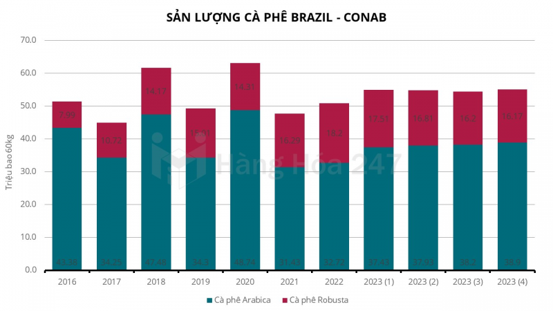 CONAB nâng dự báo sản lượng cà phê năm 2023 của Brazil