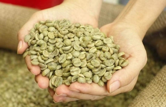 Giá cà phê mới nhất ngày 17/12/2023: Thị trường cà phê trong nước tăng 800 – 900 đồng/kg