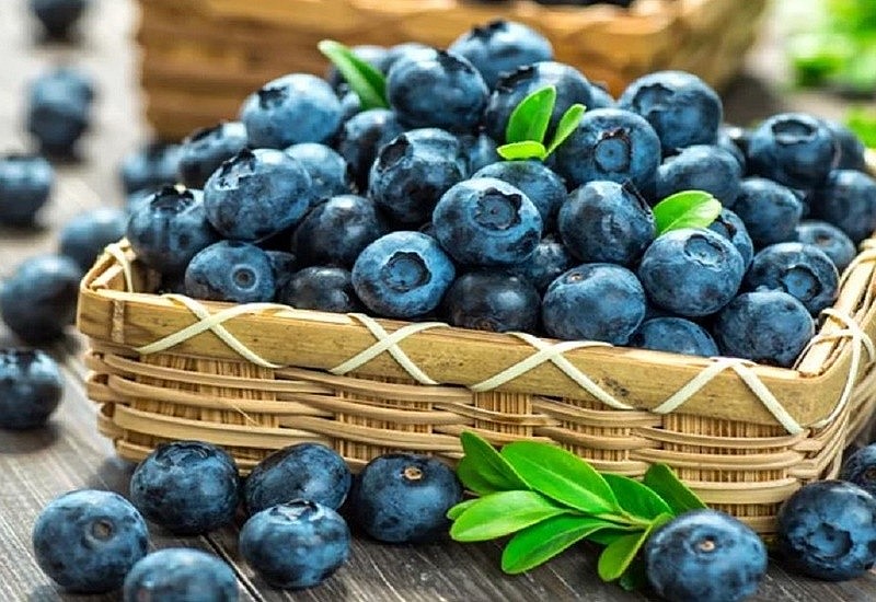 Những loại trái cây giàu chất chống oxy hóa có lợi cho sức khỏe, sống thọ