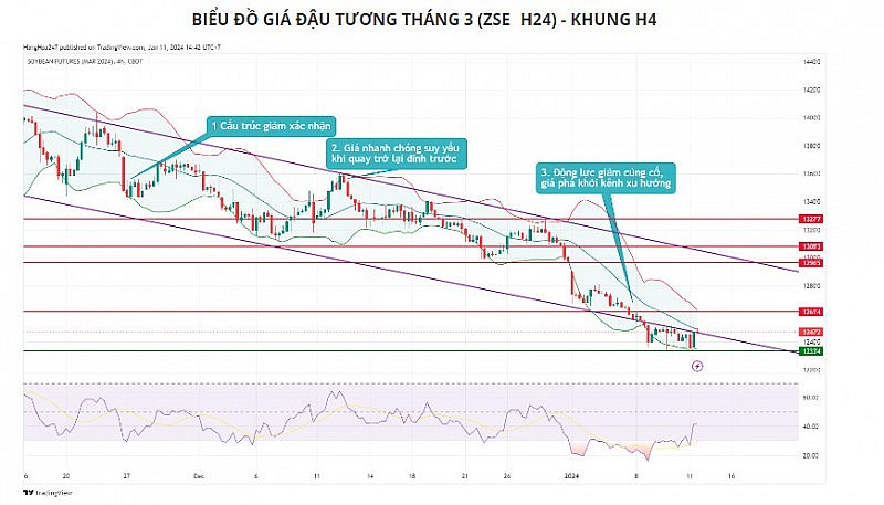 Đà tăng của giá đậu tương có thể sẽ bị hạn chế ở vùng 1265