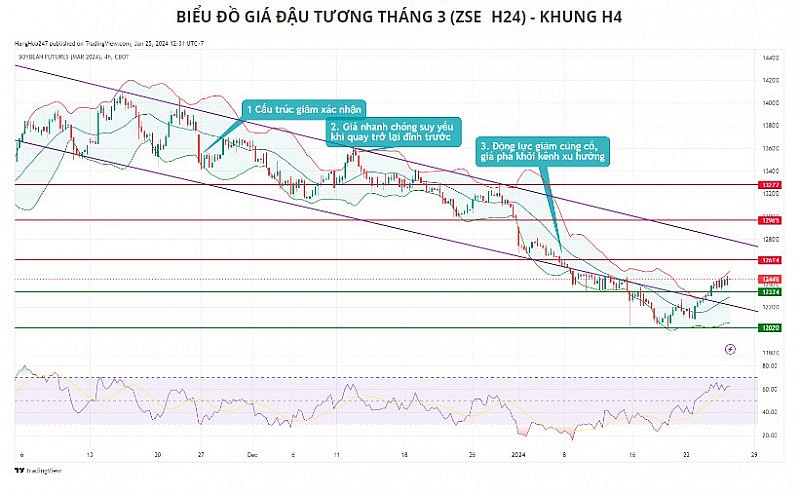 Báo cáo bán hàng có thể tạo sức ép tới giá đậu tương