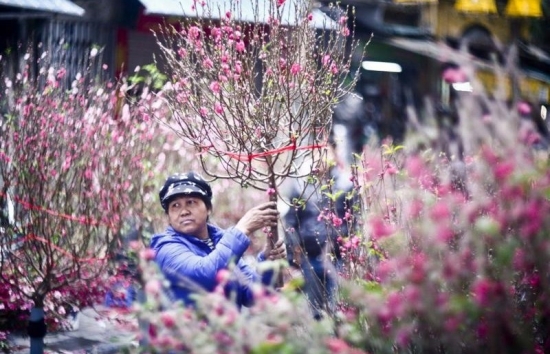 Dự báo thời tiết Hà Nội ngày mai 9/2/2024: Hà Nội rét đậm, mưa phùn rải rác