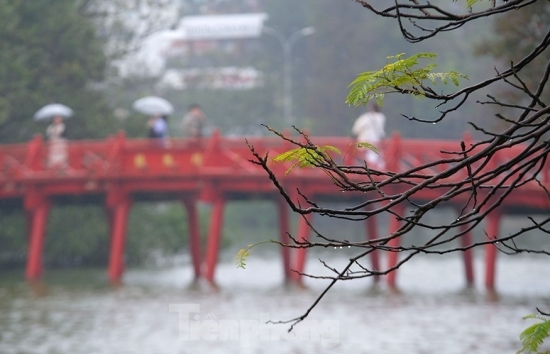 Dự báo thời tiết Hà Nội ngày mai 16/3/2024: Hà Nội mưa phùn và sương mù