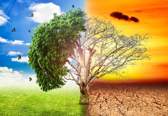 Thách thức của biến đổi khí hậu và cơ hội cho kinh tế xanh
