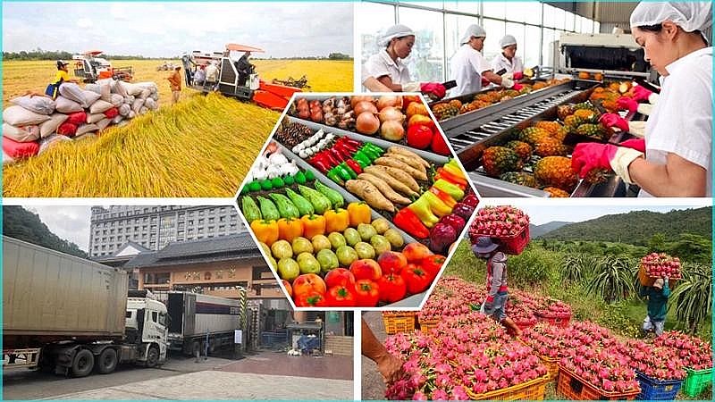 Prices of many agricultural products increased