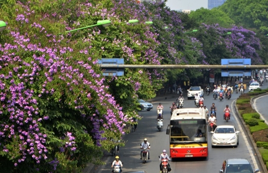 du bao thoi tiet ha noi ngay mai 1452024 ha noi ngay nang chieu toi co mua