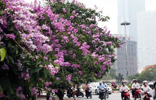 Dự báo thời tiết Hà Nội ngày mai 18/5/2024: Hà Nội ngày nắng, tối có mưa rào và dông