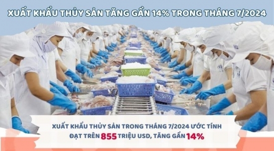 Infographic | Xuất khẩu thủy sản tăng trưởng khởi sắc trong tháng 7/2024