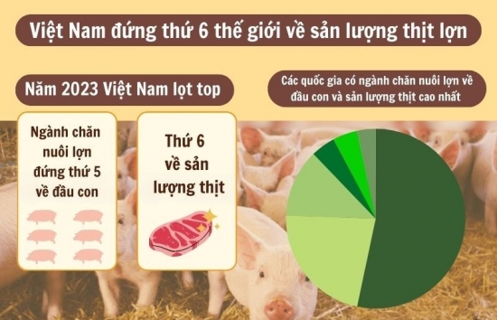 Infographic | Việt Nam đứng thứ 6 thế giới về sản lượng thịt lợn