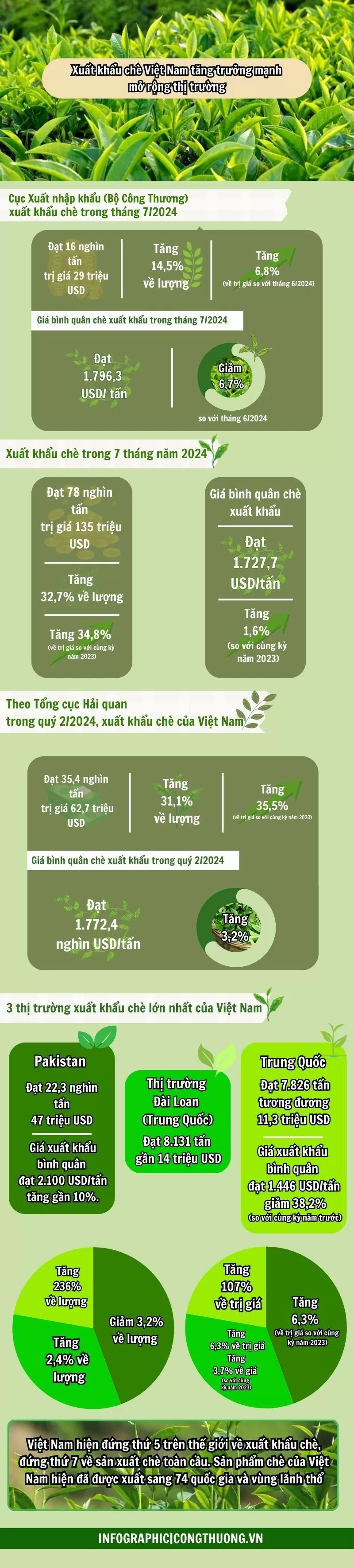 Infographic | Xuất khẩu chè Việt Nam tăng trưởng mạnh, mở rộng thị trường