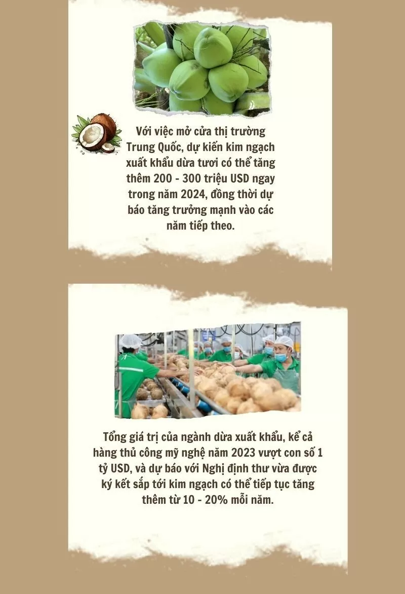 Infographic | Thúc đẩy xuất khẩu nông sản sang Trung Quốc thông qua các Nghị định thư