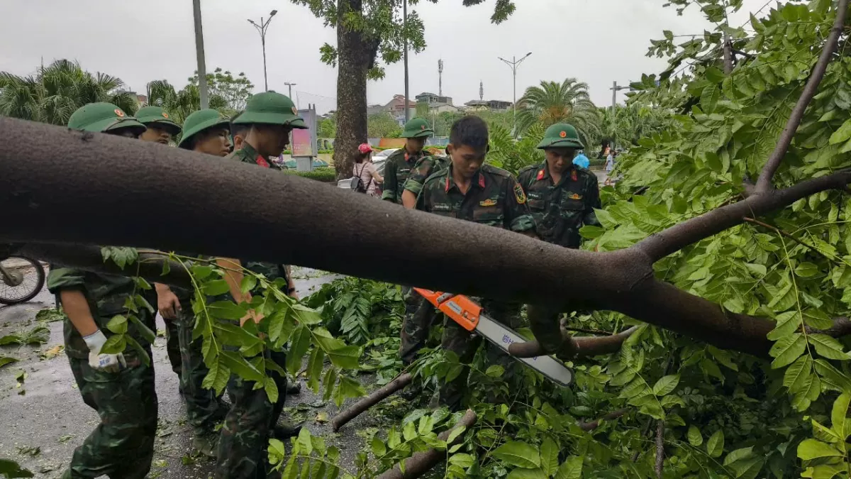 Phố xá Hà Nội ngổn ngang cây xanh đổ sau bão số 3