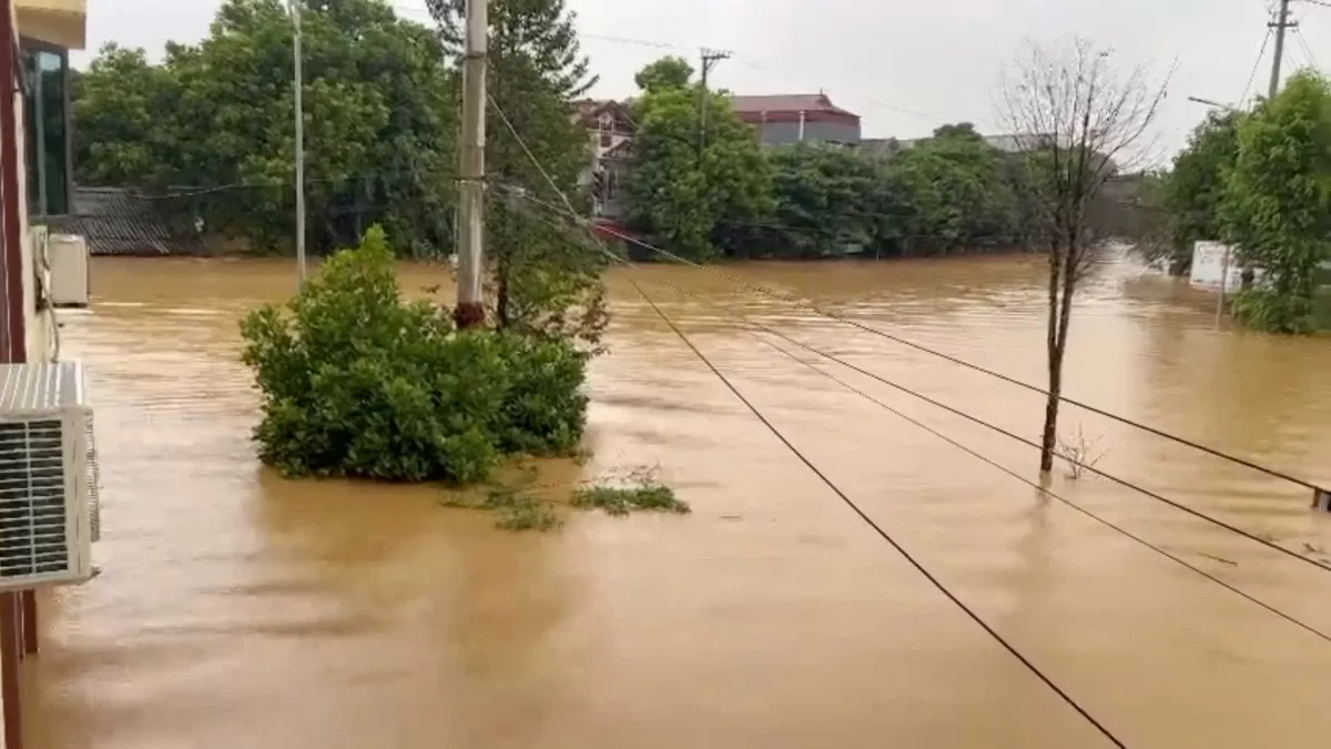 Người dân được hưởng hàng trăm tỷ đồng tiền bảo hiểm từ thiệt hại do bão số 3