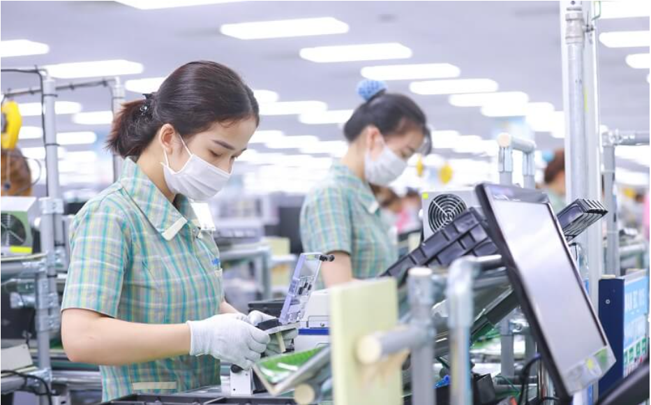 Xuất khẩu sang Hà Lan thuận lợi nhờ EVFTA